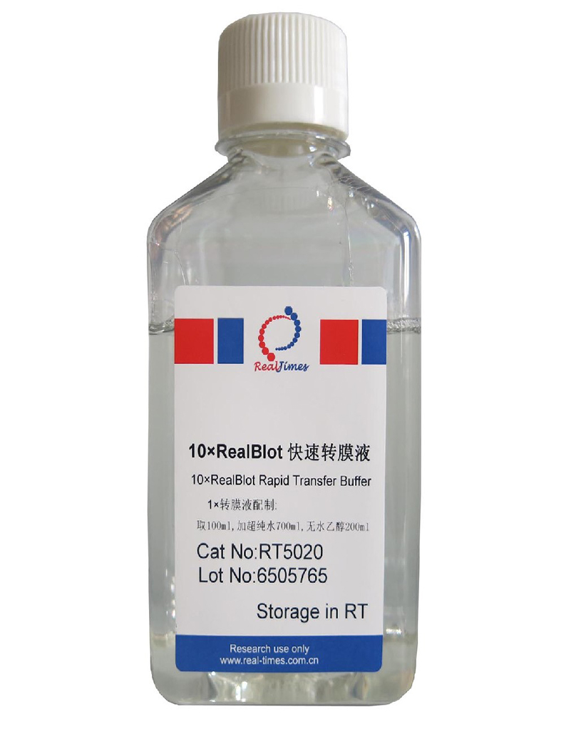 快速高效转膜液（10X）
